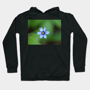 Small wildflower Hoodie